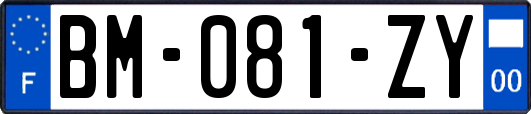 BM-081-ZY