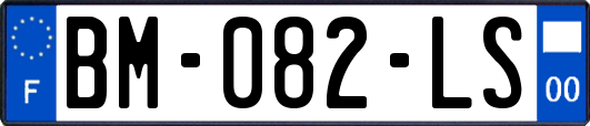 BM-082-LS