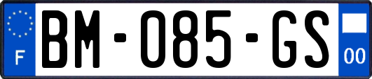 BM-085-GS