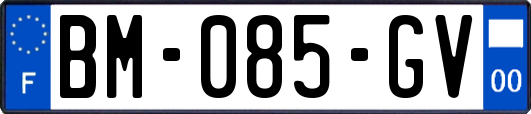 BM-085-GV