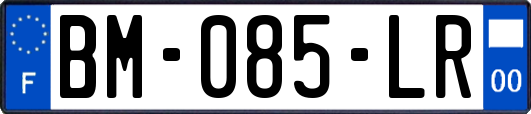 BM-085-LR