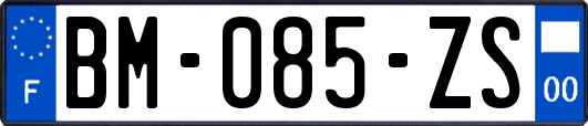 BM-085-ZS