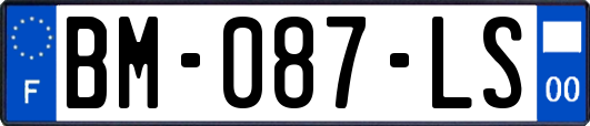 BM-087-LS