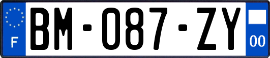 BM-087-ZY