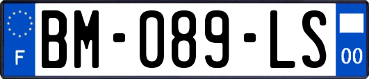 BM-089-LS