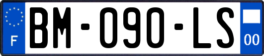 BM-090-LS