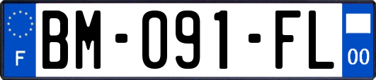 BM-091-FL