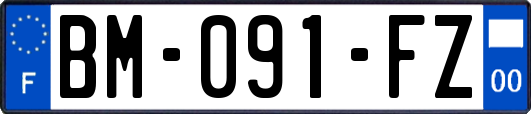 BM-091-FZ