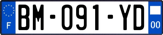 BM-091-YD