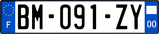 BM-091-ZY