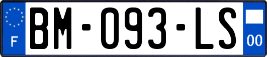 BM-093-LS