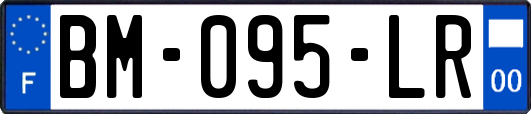 BM-095-LR