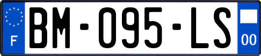 BM-095-LS