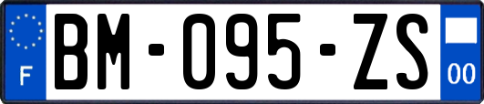 BM-095-ZS