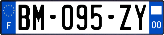 BM-095-ZY