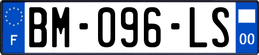 BM-096-LS