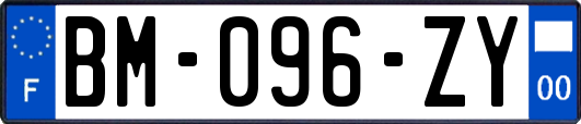 BM-096-ZY