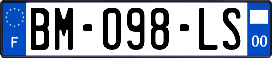 BM-098-LS