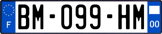 BM-099-HM