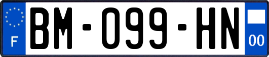 BM-099-HN