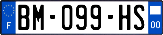 BM-099-HS