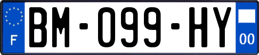 BM-099-HY