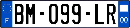 BM-099-LR