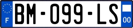 BM-099-LS