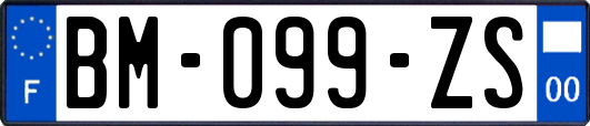 BM-099-ZS