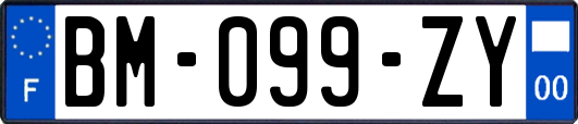 BM-099-ZY