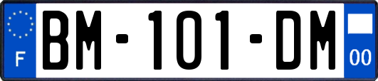 BM-101-DM