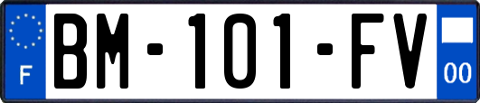 BM-101-FV