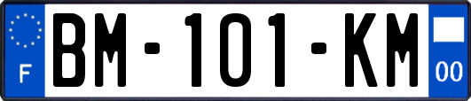 BM-101-KM