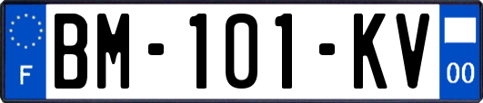 BM-101-KV
