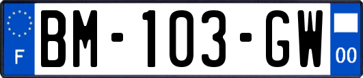 BM-103-GW