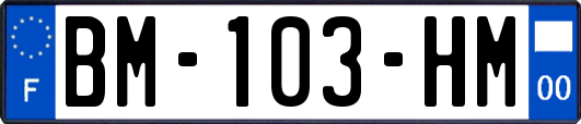 BM-103-HM