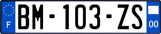 BM-103-ZS