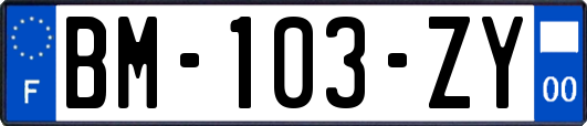 BM-103-ZY