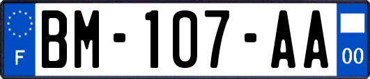 BM-107-AA