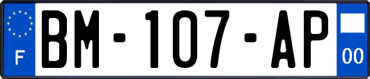 BM-107-AP