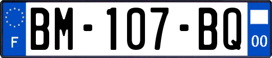 BM-107-BQ