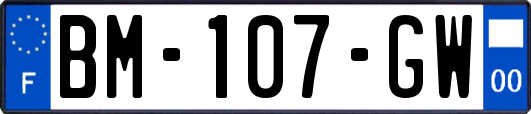 BM-107-GW