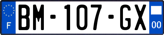 BM-107-GX