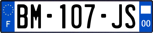 BM-107-JS