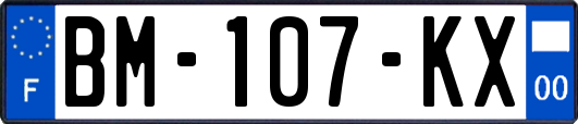 BM-107-KX