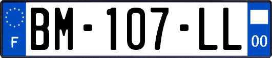 BM-107-LL