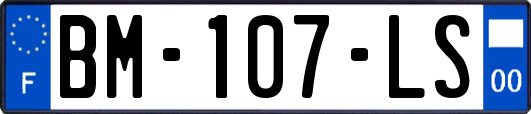 BM-107-LS
