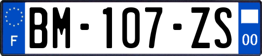 BM-107-ZS