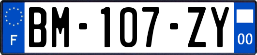 BM-107-ZY