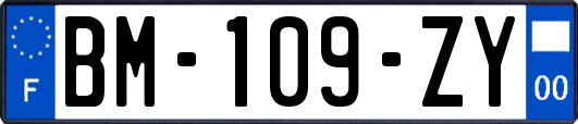 BM-109-ZY